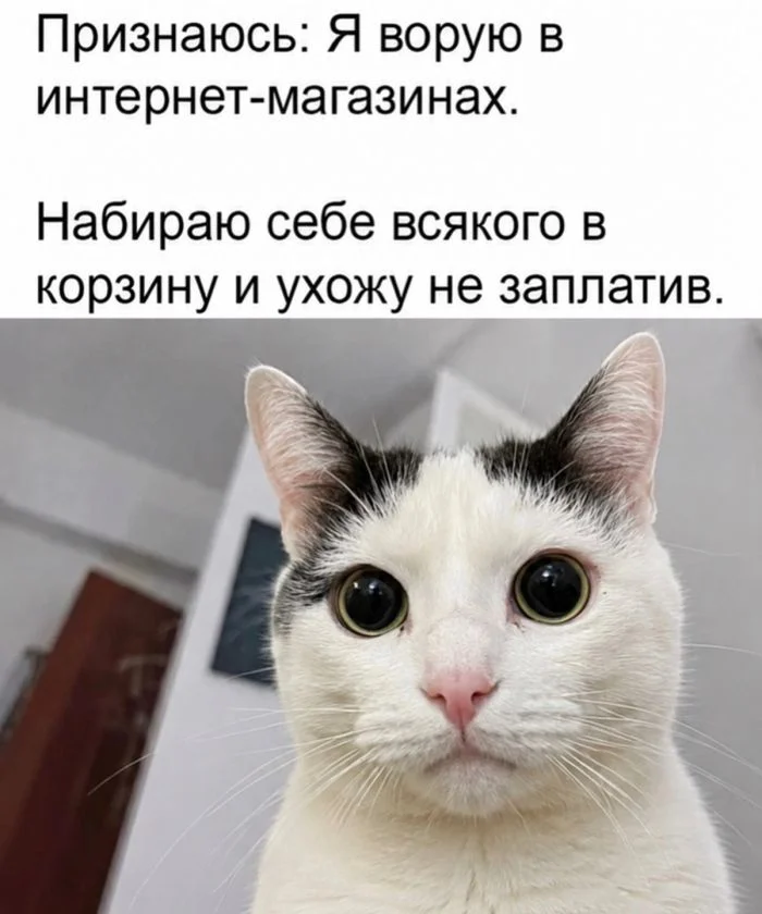 Утренний заряд юмора: мемы и картинки для хорошего дня Утренний заряд юмора: мемы и картинки для хорошего дня мемы, картинки, юмор, позитив, подборка