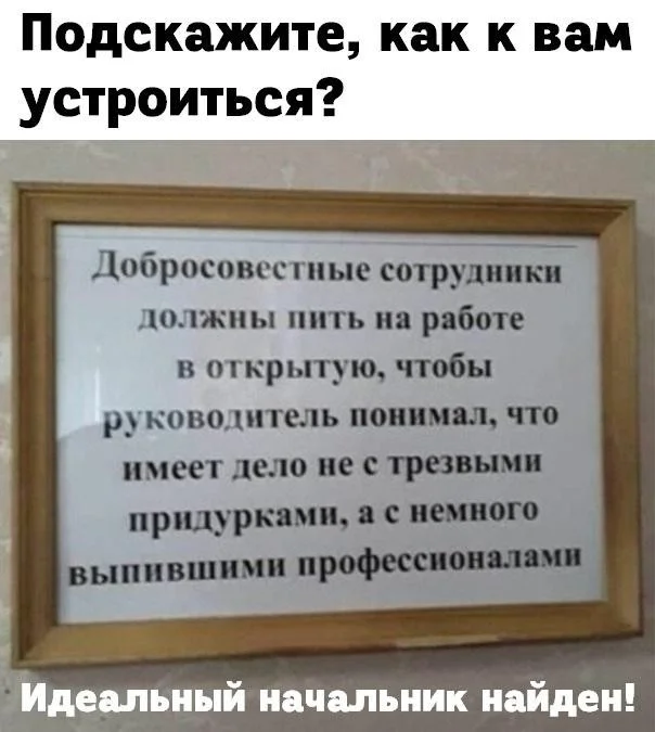 Утренний заряд юмора: мемы и картинки для хорошего дня Утренний заряд юмора: мемы и картинки для хорошего дня мемы, картинки, юмор, позитив, подборка