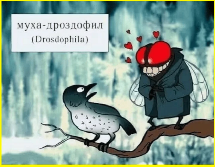 Каша или суп? Муж не заметил подвоха — 9 уморительных мемов мемы, приколы, еда, семья, юмор, картинки, подборка