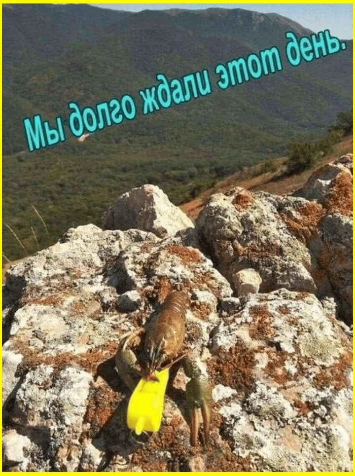 Каша или суп? Муж не заметил подвоха — 9 уморительных мемов мемы, приколы, еда, семья, юмор, картинки, подборка