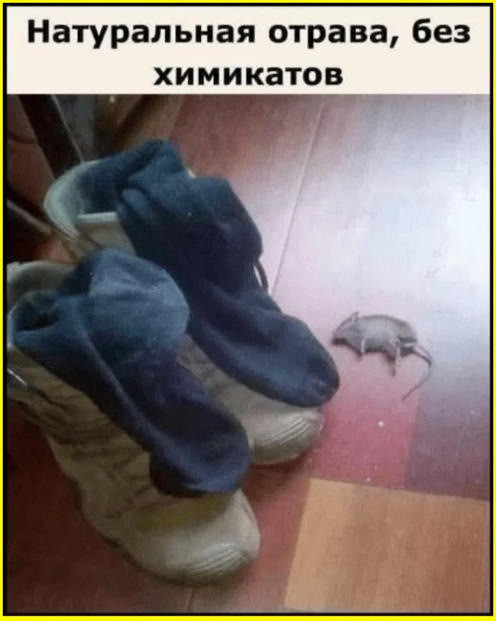 Каша или суп? Муж не заметил подвоха — 9 уморительных мемов мемы, приколы, еда, семья, юмор, картинки, подборка