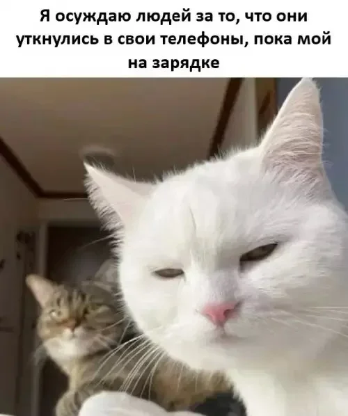 Мемы на 1 октября: звёзды, драки и детектор лжи мемы, юмор, картинки, приколы, подборка, 1 октября
