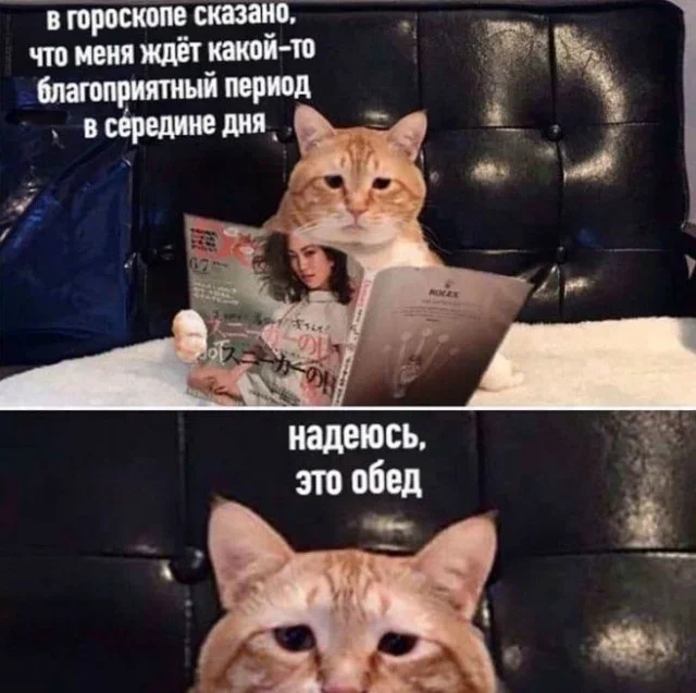 Мемы на 1 октября: звёзды, драки и детектор лжи