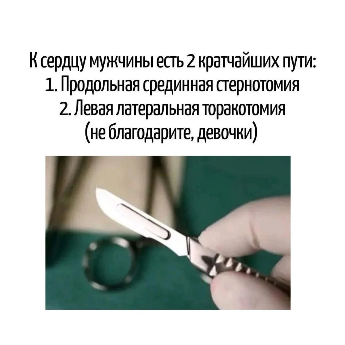 Слова, которые вас подколют Слова, которые вас подколют юмор, каламбуры, игра слов, смешное, язык