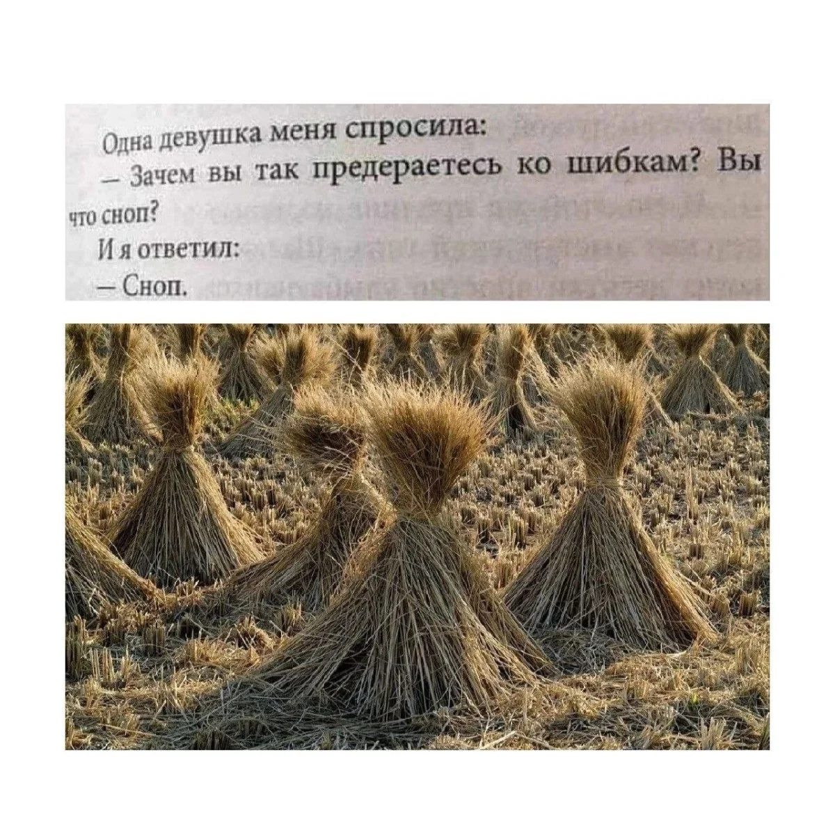 Слова, которые вас подколют Слова, которые вас подколют юмор, каламбуры, игра слов, смешное, язык