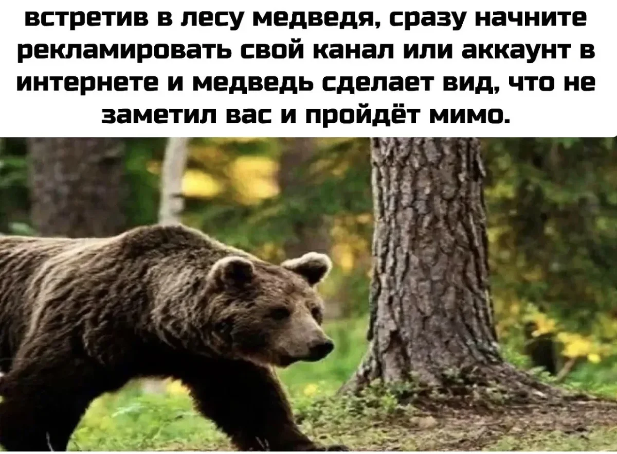 Улыбнись, пока никто не видит: мемы дня Улыбнись, пока никто не видит: мемы дня мемы, юмор, картинки, приколы, позитив