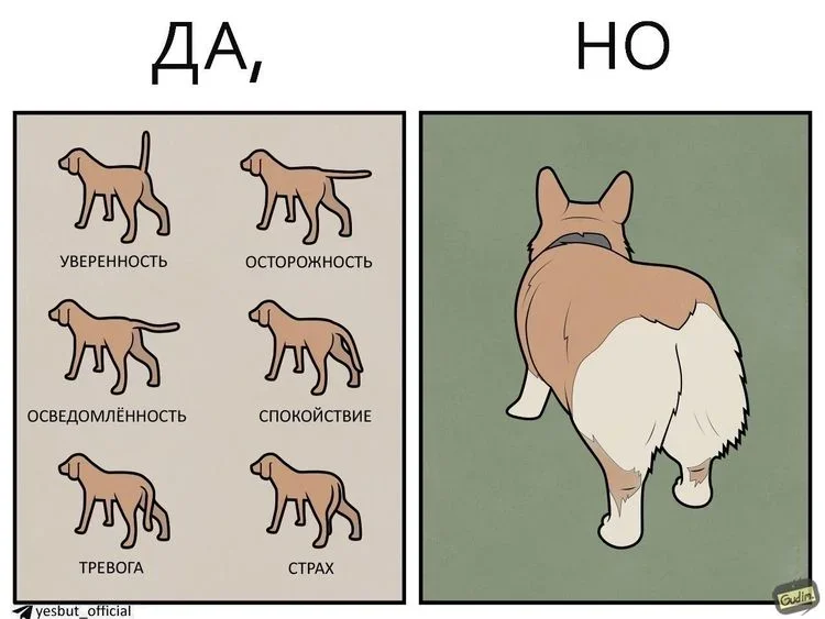 Жизнь любит говорить «да, но» комиксы, юмор, приколы, картинки, жизнь, «да но»