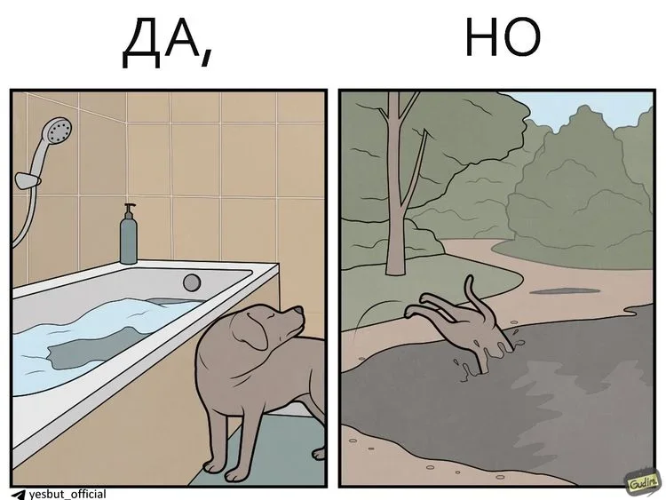 Жизнь любит говорить «да, но» комиксы, юмор, приколы, картинки, жизнь, «да но»