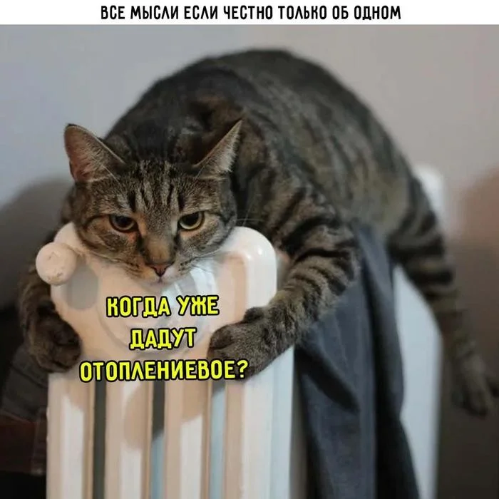 Пятница пришла — и это уже праздник! Пятница пришла — и это уже праздник! пятница, юмор, картинки, позитив, выходные, приколы