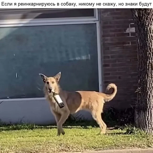 Пятница! Мемы для отрыва мемы, пятница, юмор, картинки, подборка