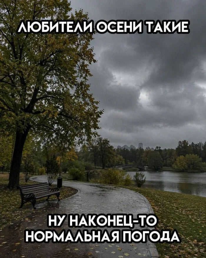 Пятница! Мемы для отрыва мемы, пятница, юмор, картинки, подборка