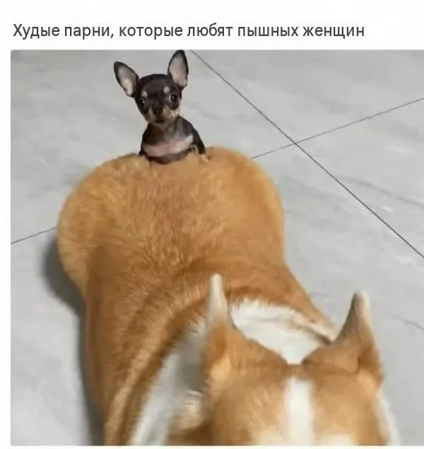 Пятница! Мемы для отрыва мемы, пятница, юмор, картинки, подборка