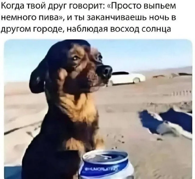Пятница! Мемы для отрыва мемы, пятница, юмор, картинки, подборка