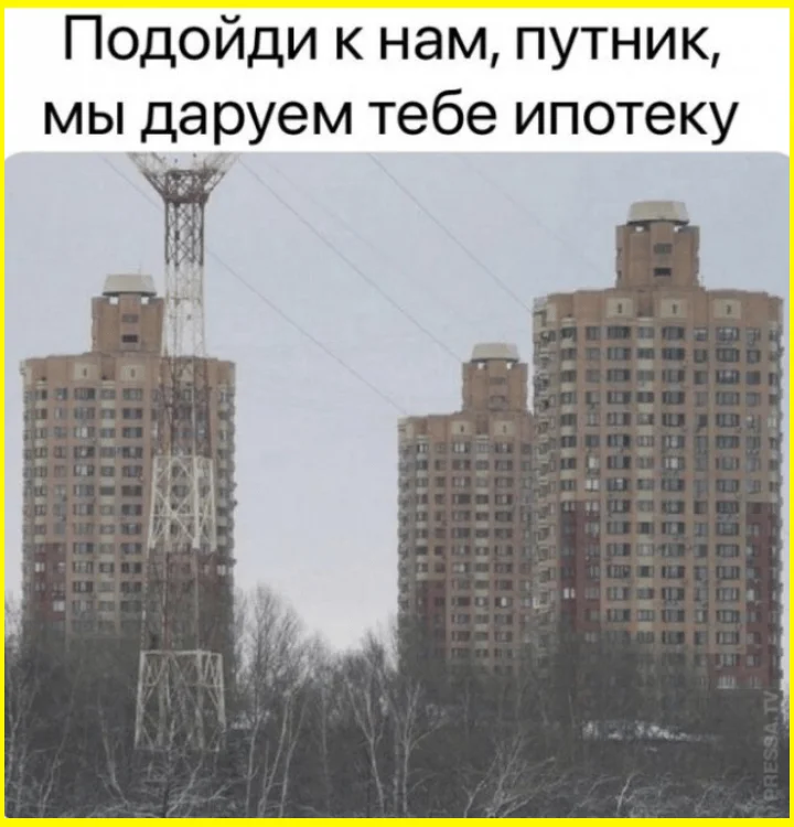 Мозг под защитой: череп или штаны?