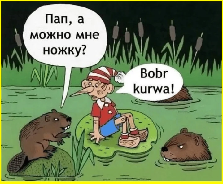 Мозг под защитой: череп или штаны? Мозг под защитой: череп или штаны? приколы, картинки, юмор, подборка, мемы