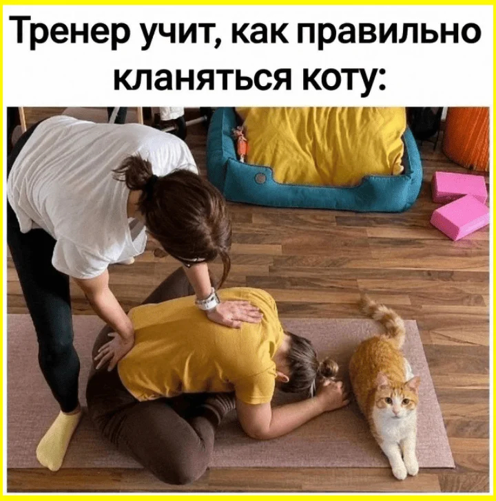 Мозг под защитой: череп или штаны? Мозг под защитой: череп или штаны? приколы, картинки, юмор, подборка, мемы