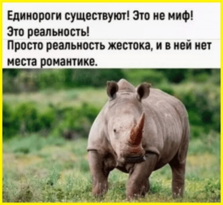 Мозг под защитой: череп или штаны? Мозг под защитой: череп или штаны? приколы, картинки, юмор, подборка, мемы