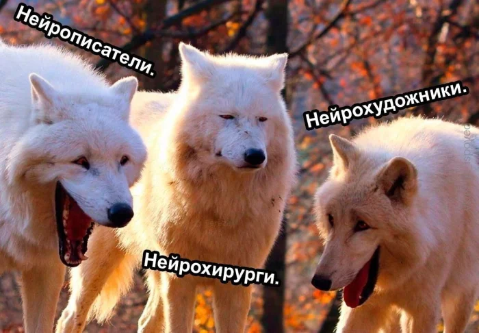Утренние мемы: корпоратив и не только Утренние мемы: корпоратив и не только мемы, юмор, картинки, корпоратив, утро, френзонинг