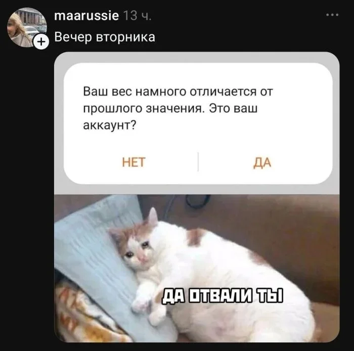 Утренние мемы: корпоратив и не только