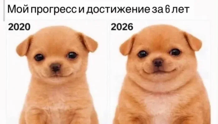 Утренние мемы: корпоратив и не только Утренние мемы: корпоратив и не только мемы, юмор, картинки, корпоратив, утро, френзонинг