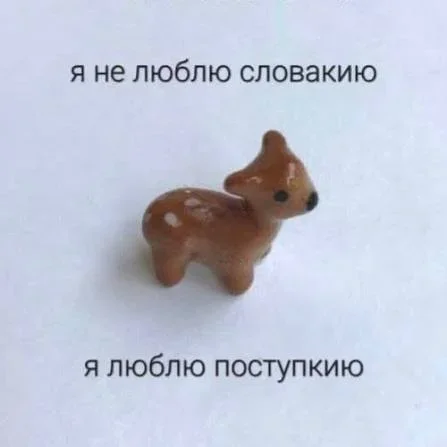 Угарная пятница: кот-веган и мемы про дедлайны Угарная пятница: кот-веган и мемы про дедлайны мемы, юмор, картинки, пятница, кот, веган