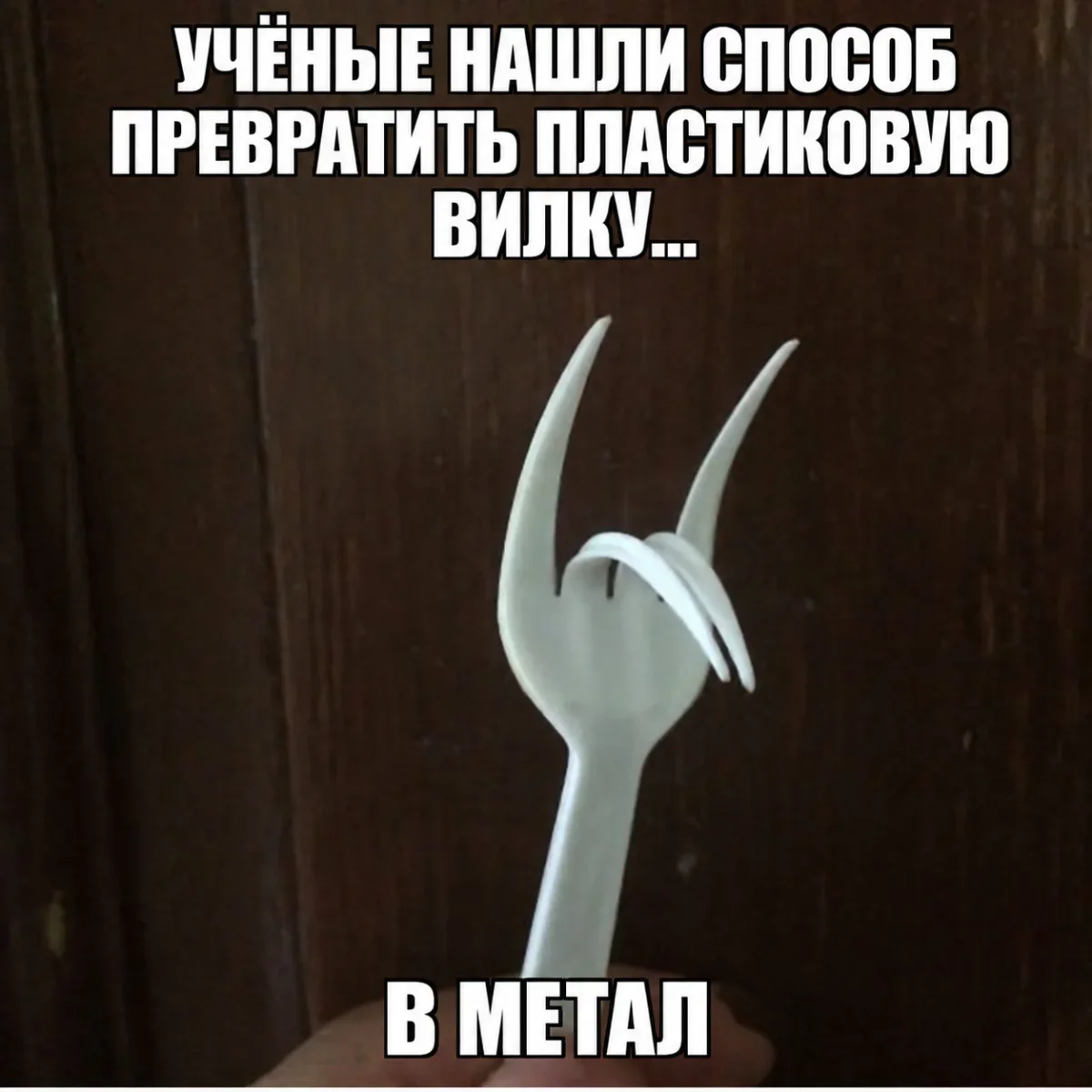 Угарная пятница: кот-веган и мемы про дедлайны Угарная пятница: кот-веган и мемы про дедлайны мемы, юмор, картинки, пятница, кот, веган