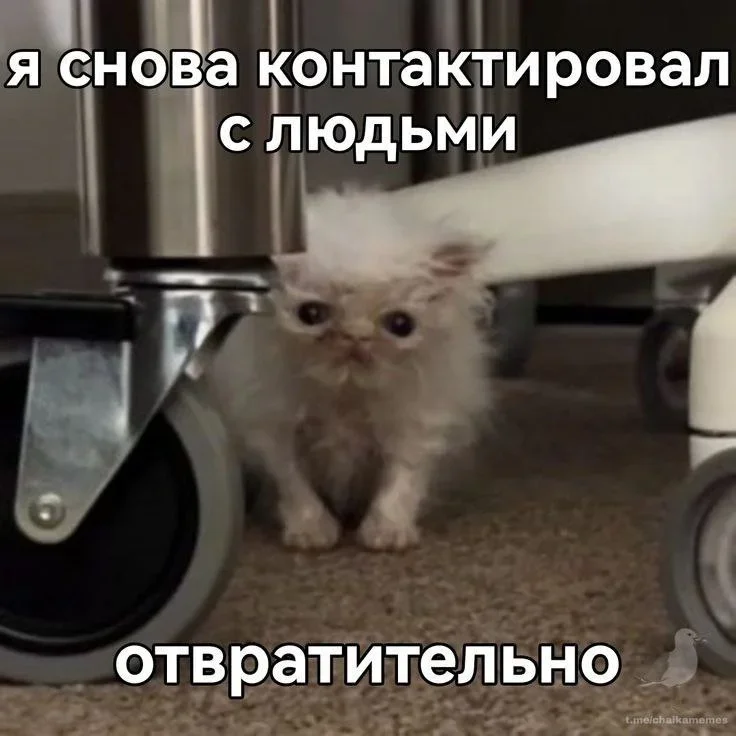 Когда мем понял тебя лучше терапевта Когда мем понял тебя лучше терапевта мемы, психология, юмор, подборка, терапия, самоирония