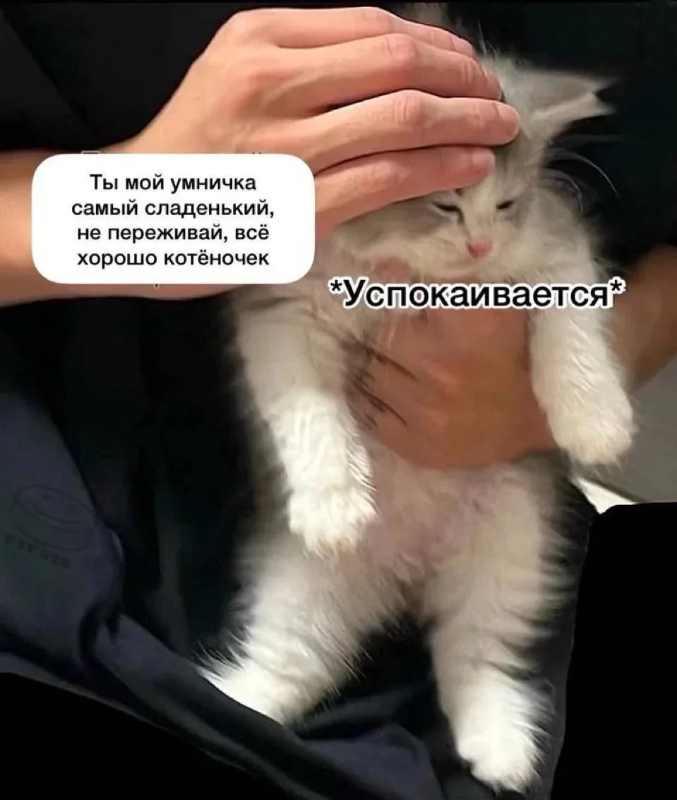 Когда мем понял тебя лучше терапевта Когда мем понял тебя лучше терапевта мемы, психология, юмор, подборка, терапия, самоирония