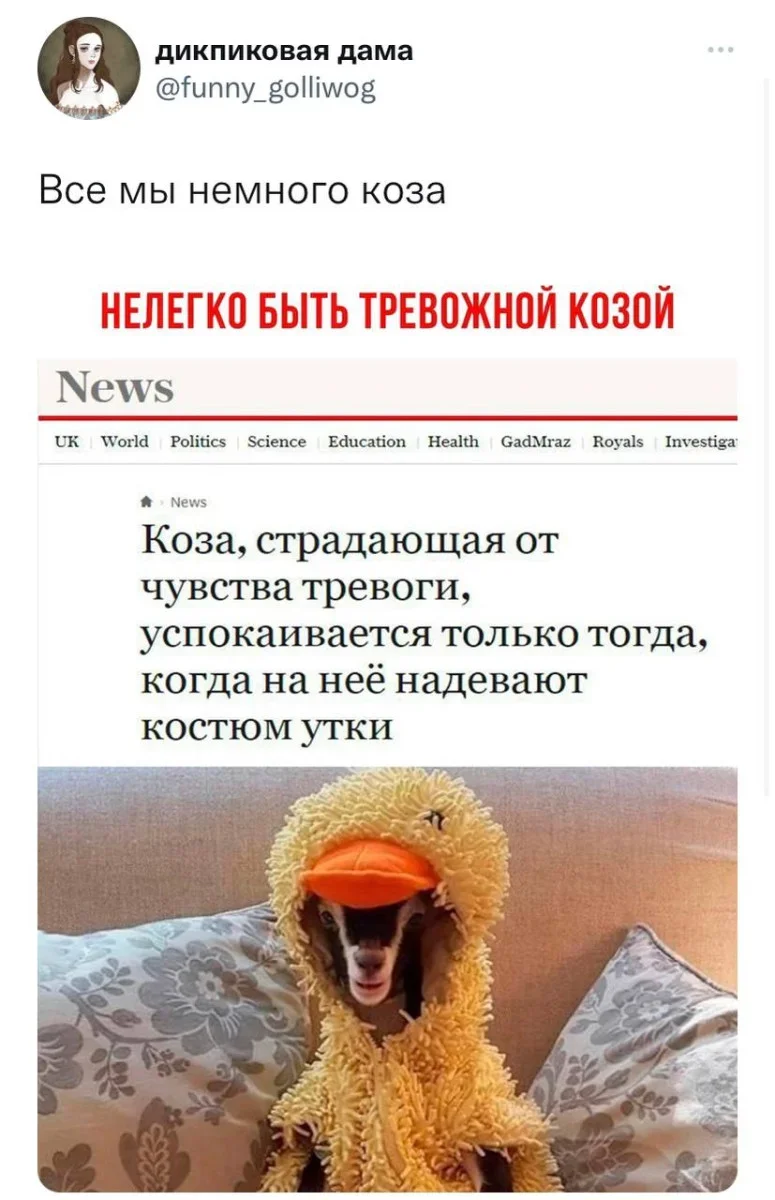 Когда мем понял тебя лучше терапевта Когда мем понял тебя лучше терапевта мемы, психология, юмор, подборка, терапия, самоирония