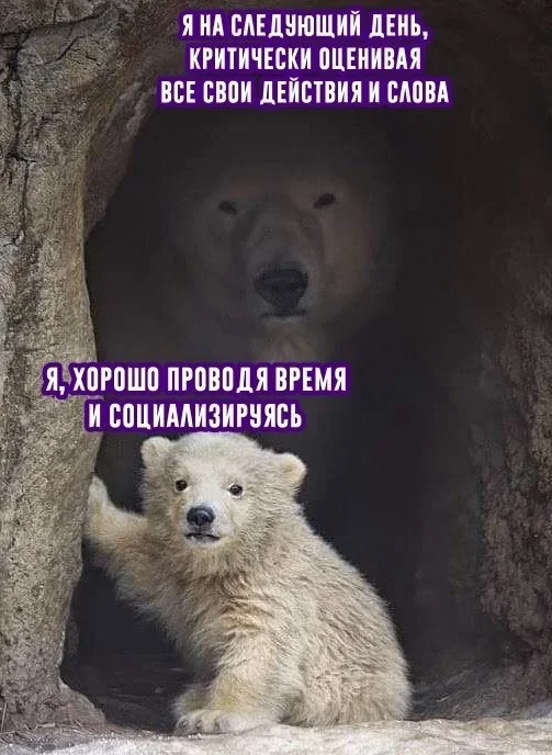 Когда мем понял тебя лучше терапевта Когда мем понял тебя лучше терапевта мемы, психология, юмор, подборка, терапия, самоирония