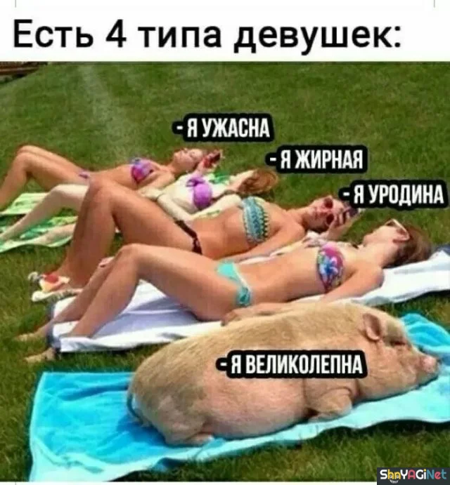 Шедевры женского юмора женский юмор, приколы, картинки, смех, шутки