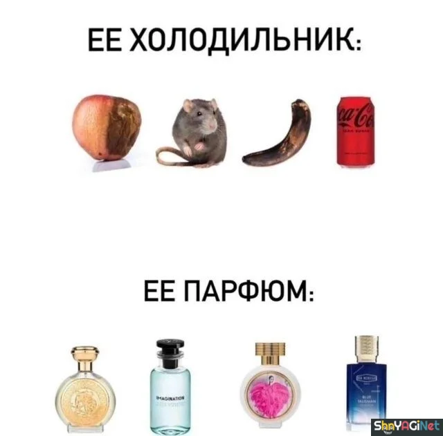 Шедевры женского юмора женский юмор, приколы, картинки, смех, шутки