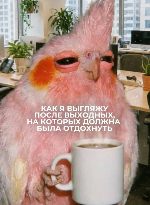 15 мемов, в которых ты узнаешь себя мемы, юмор, картинки, приколы, подборка