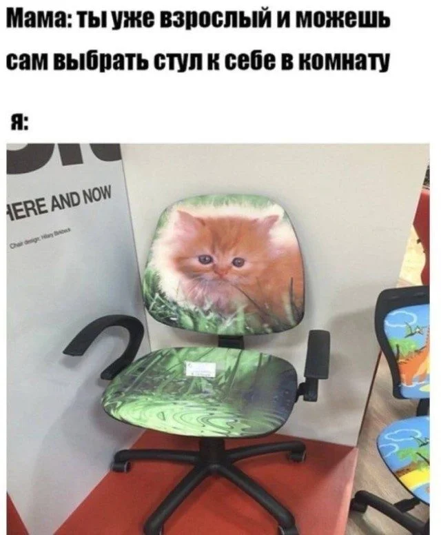 15 мемов, в которых ты узнаешь себя мемы, юмор, картинки, приколы, подборка