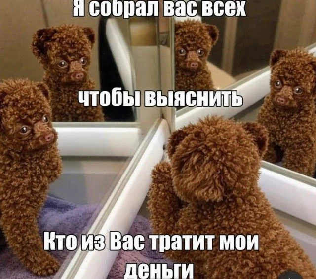 15 мемов, в которых ты узнаешь себя мемы, юмор, картинки, приколы, подборка