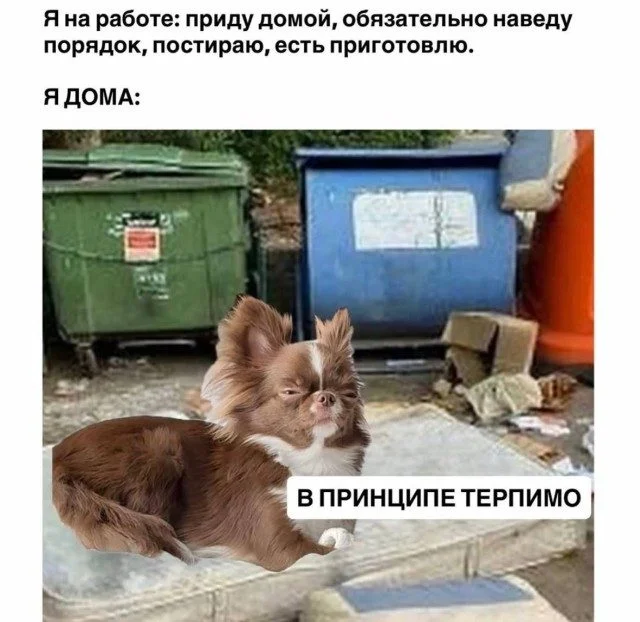 15 мемов, в которых ты узнаешь себя мемы, юмор, картинки, приколы, подборка