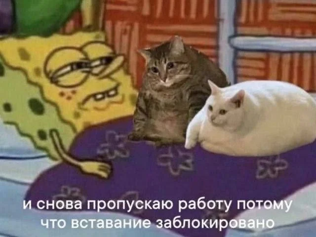 15 мемов, в которых ты узнаешь себя мемы, юмор, картинки, приколы, подборка