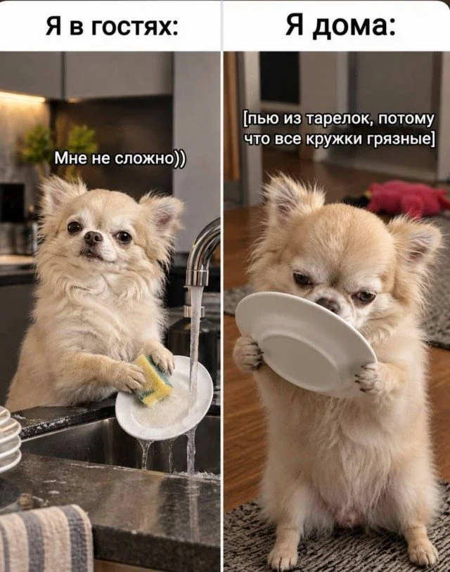 15 мемов, в которых ты узнаешь себя мемы, юмор, картинки, приколы, подборка
