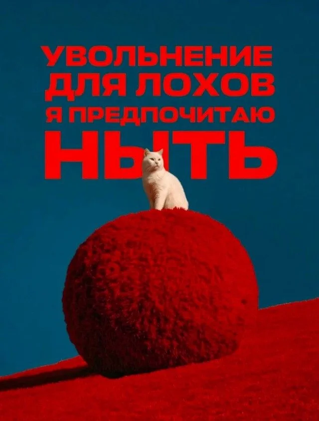15 мемов, в которых ты узнаешь себя мемы, юмор, картинки, приколы, подборка
