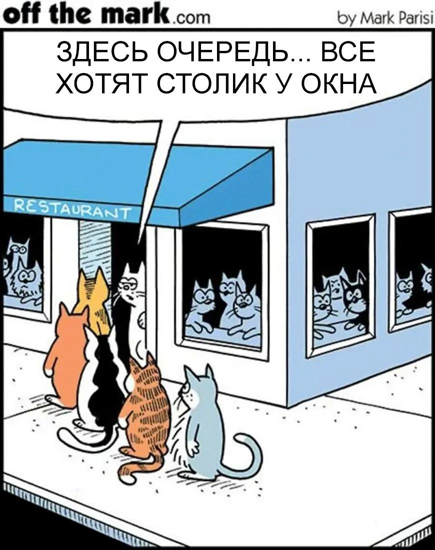 Кто в доме хозяин? 10 комиксов про котов Марка Паризи комиксы, коты, юмор, картинки, Марк Паризи, карикатуры