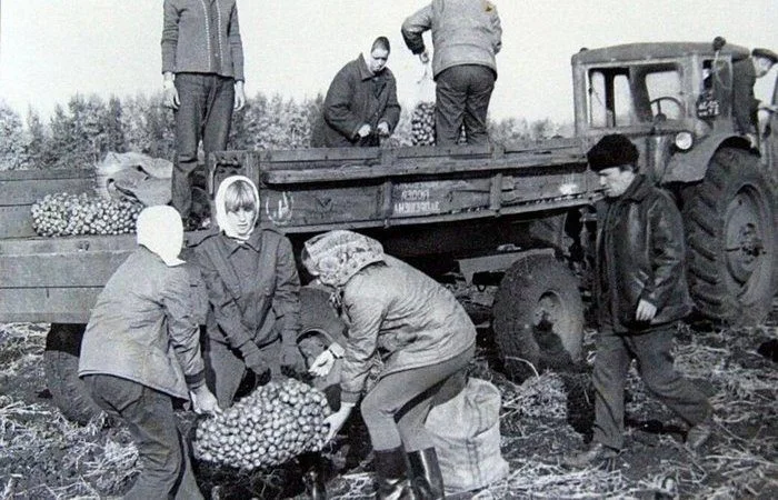 Сколько зарабатывали в СССР и что могли купить СССР, зарплаты, экономика, история, цены, колхозники, уровень жизни