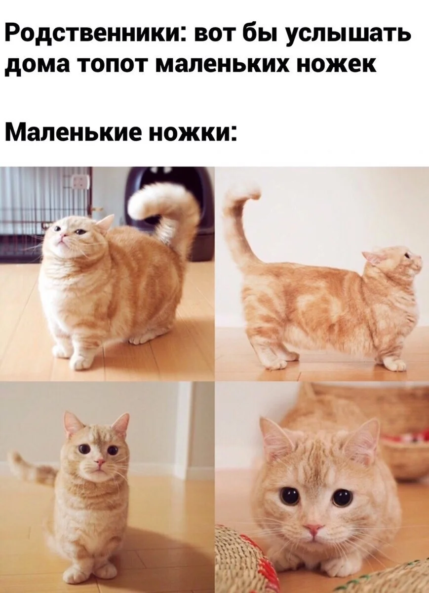 Мемы для отдыха: улыбнись и выдохни Мемы для отдыха: улыбнись и выдохни мемы, юмор, выходные, картинки, позитив