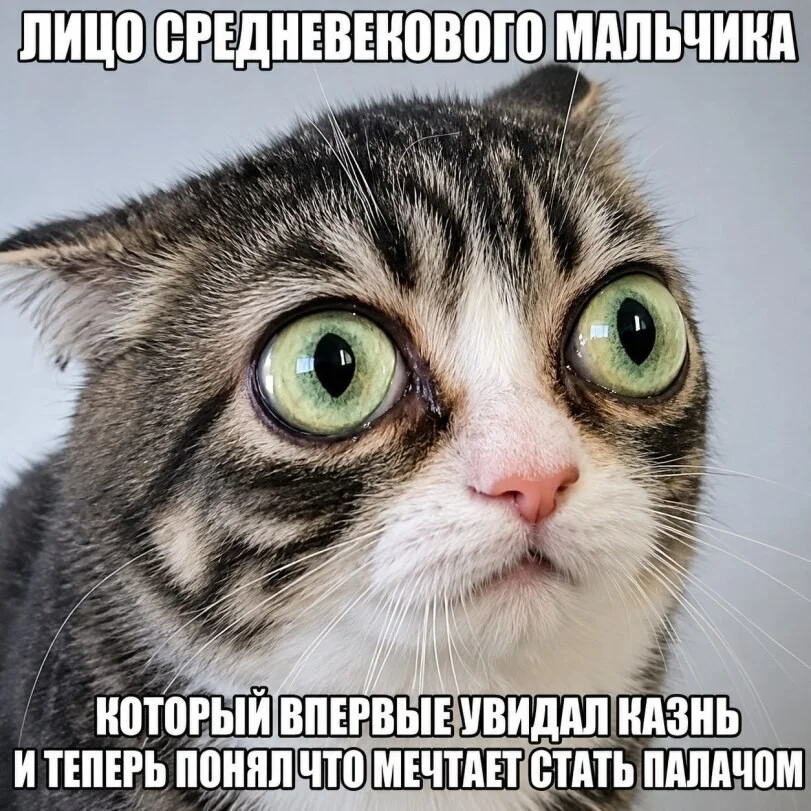 Мемы для отдыха: улыбнись и выдохни Мемы для отдыха: улыбнись и выдохни мемы, юмор, выходные, картинки, позитив