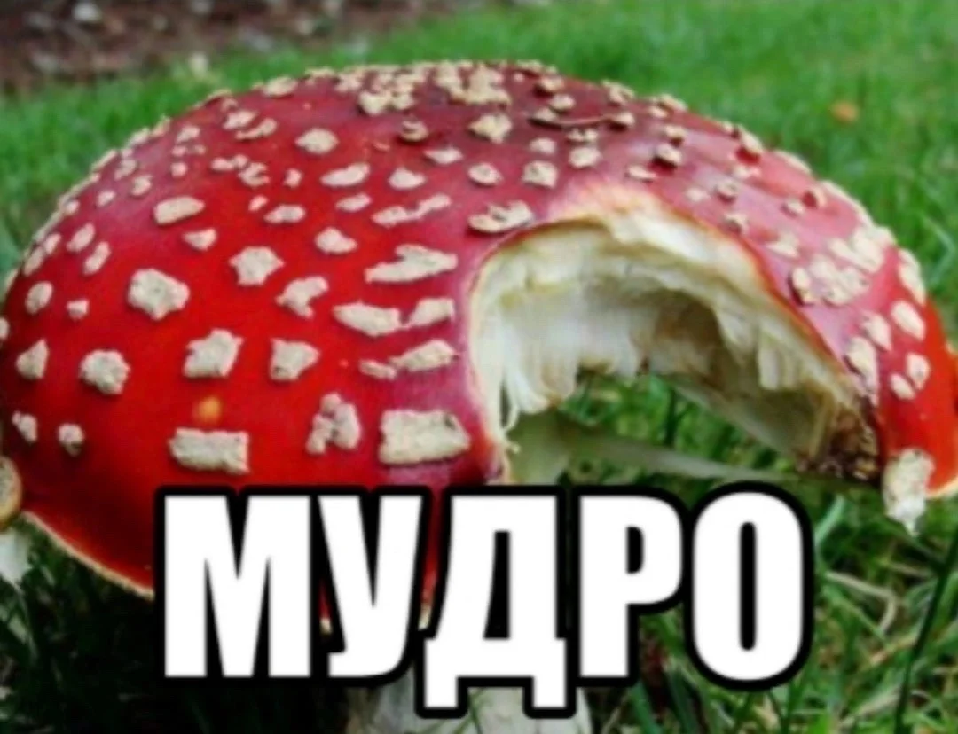 Мемы для отдыха: улыбнись и выдохни Мемы для отдыха: улыбнись и выдохни мемы, юмор, выходные, картинки, позитив