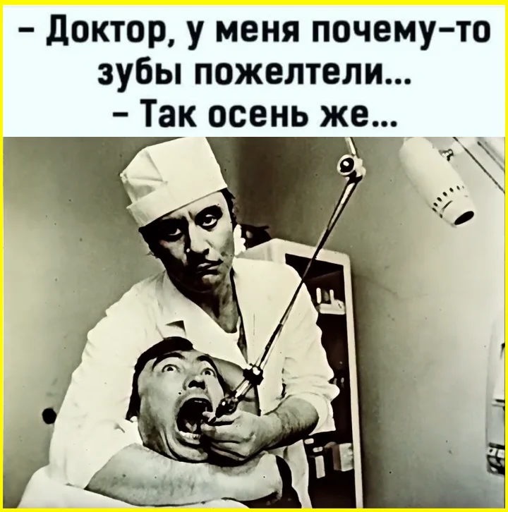 Тишина — это роскошь одиночество, интроверсия, уединение, психология, самодостаточность