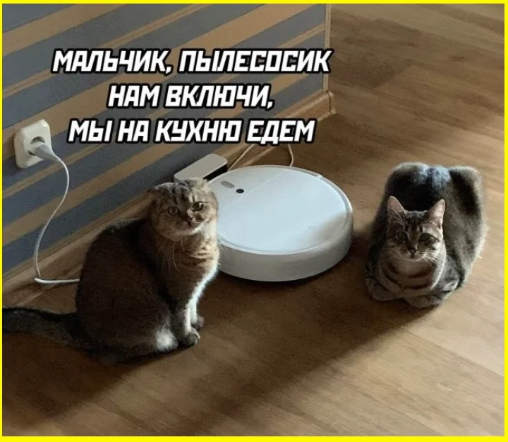 Когда память решила взять выходной маразм, забывчивость, юмор, картинки, приколы, демотиваторы, смешное, жизненное