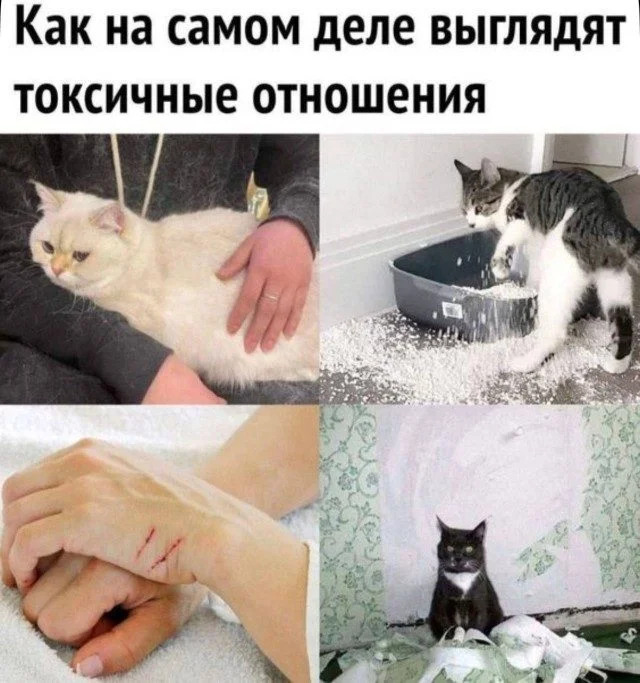 Улыбнись! Смешные картинки и шутки Улыбнись! Смешные картинки и шутки юмор, картинки, приколы