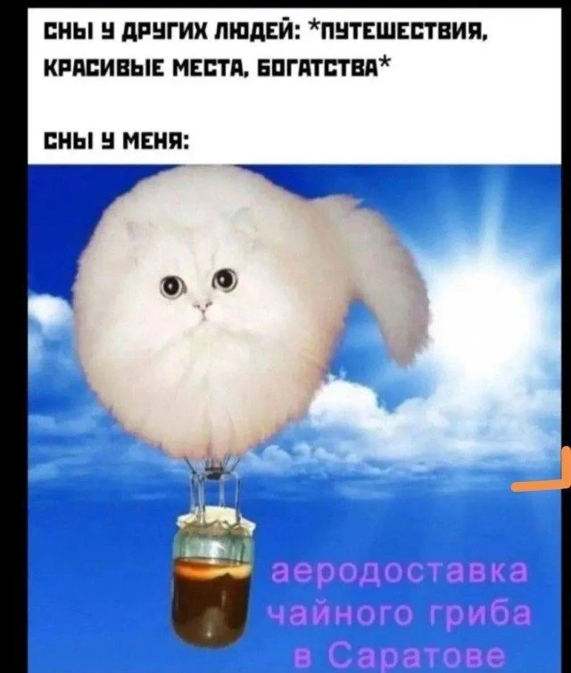 Увидел — и сразу переслал другу