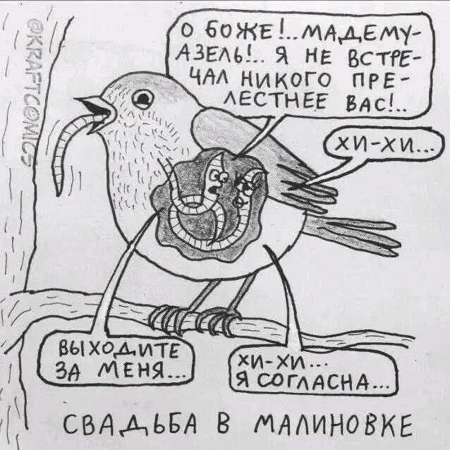 Утренний заряд смеха: мемы на 4 октября Утренний заряд смеха: мемы на 4 октября мемы, юмор, картинки, приколы, смешное