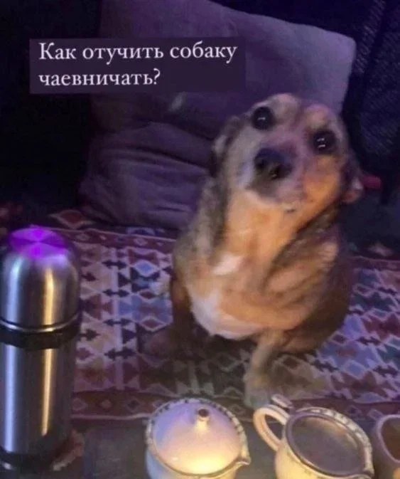Утренний заряд смеха: мемы на 4 октября Утренний заряд смеха: мемы на 4 октября мемы, юмор, картинки, приколы, смешное